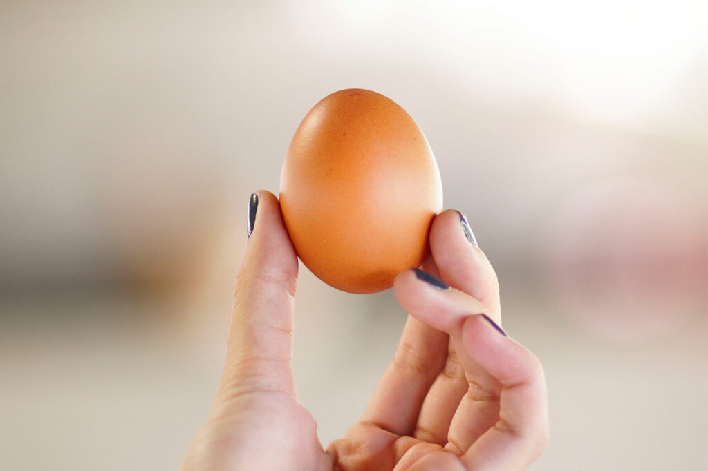 Una mano sostiene un huevo marrón entre los dedos pulgar e índice sobre un fondo desenfocado