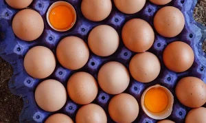 Una cubeta de huevos lista para dar a los consumidores todas las proteínas de un huevo.