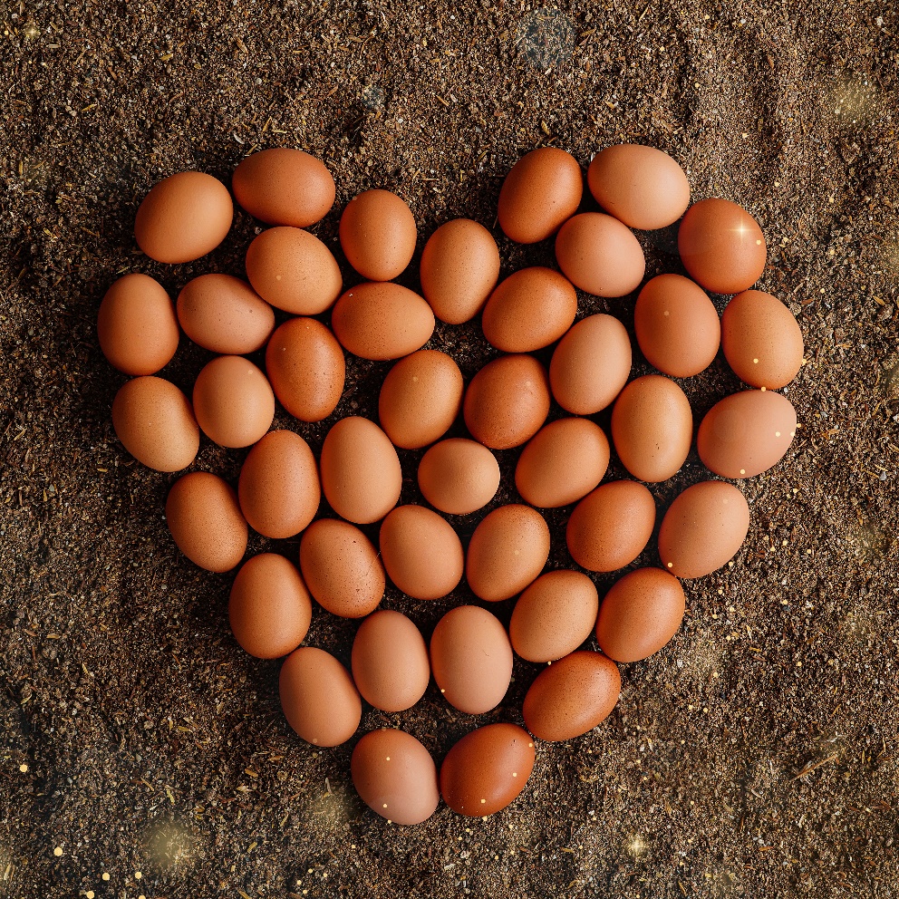 Huevos acomodados en forma de corazón