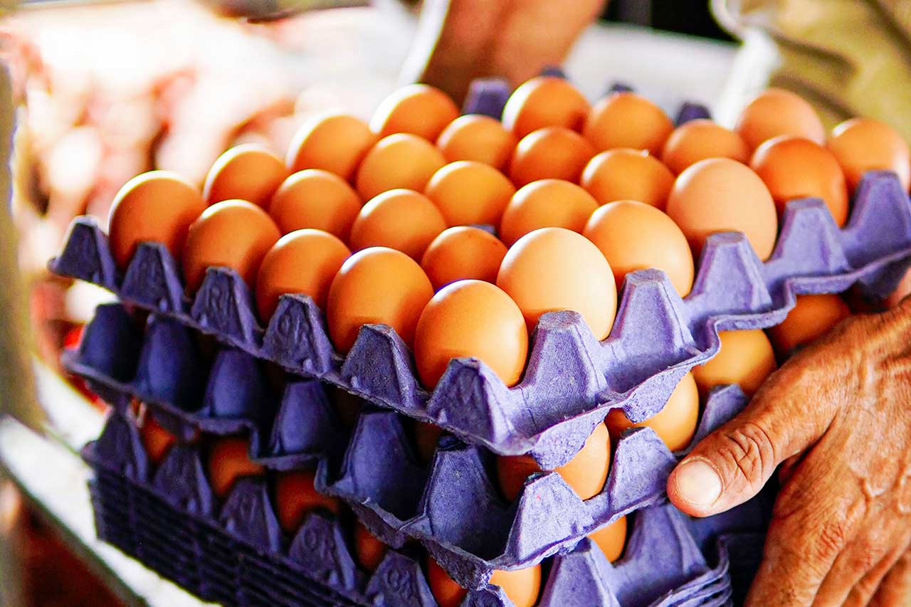 Una pila de cartones con huevos frescos siendo sostenidos por un agricultor, resaltando la producción natural y el origen de este alimento.