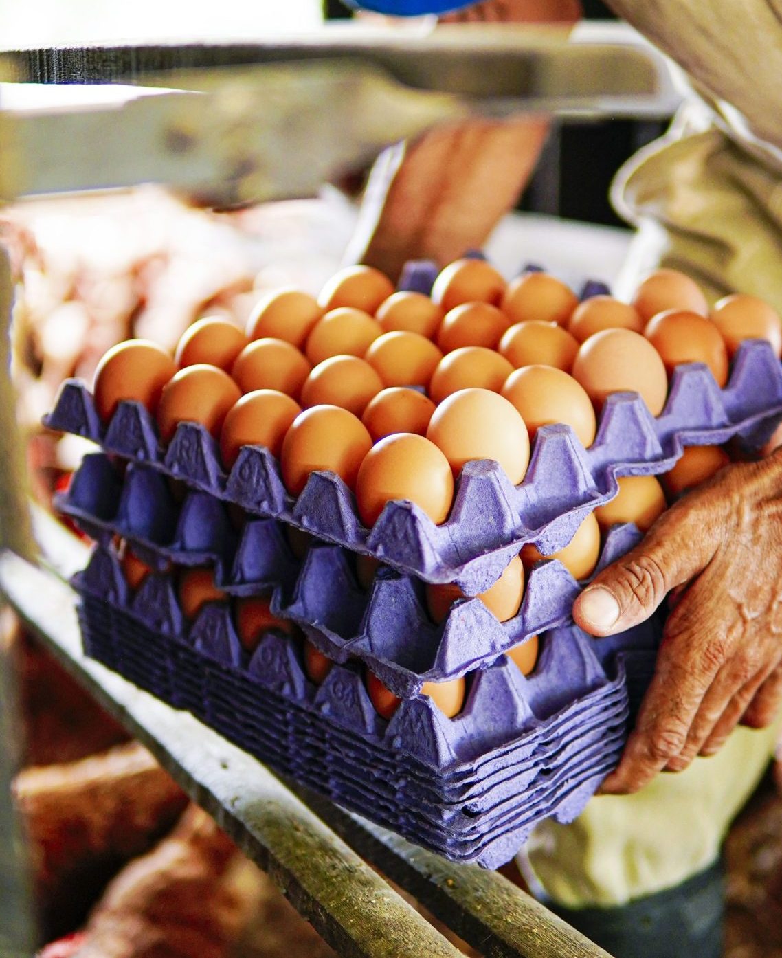 Un hombre recogiendo un cartón de huevos perfectos para la dieta keto.