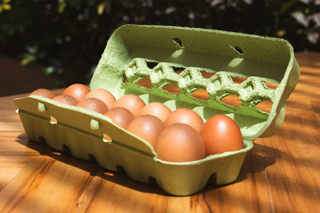 Un cartón de huevos de color verde abierto sobre una mesa de madera clara, bañado por la luz del sol.