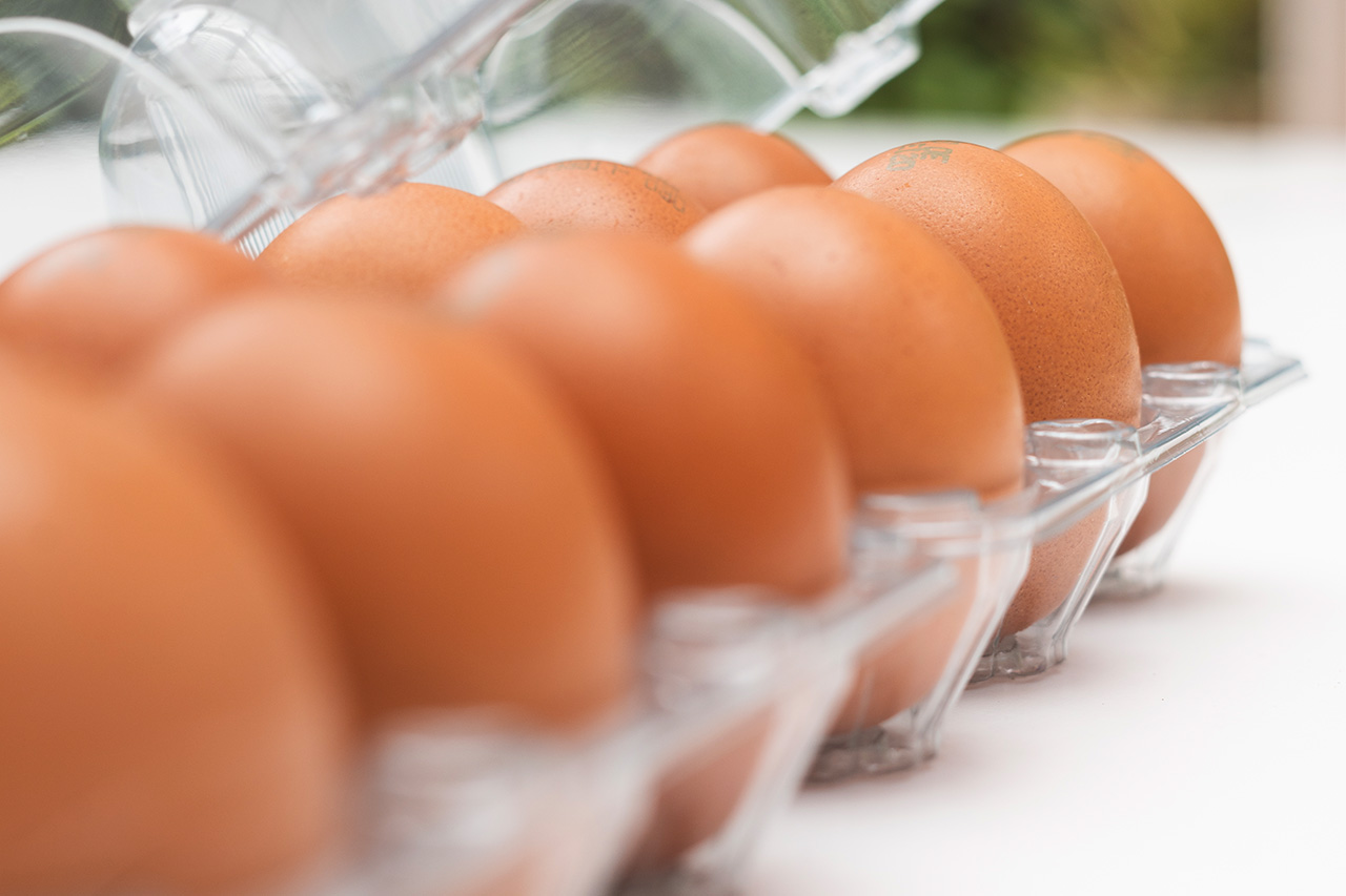 Primer plano de huevos frescos en un envase de plástico transparente