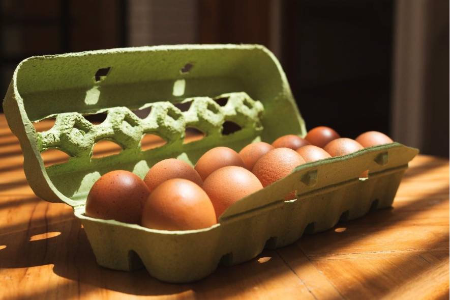 Unos huevos en panal que después serán congelados. 