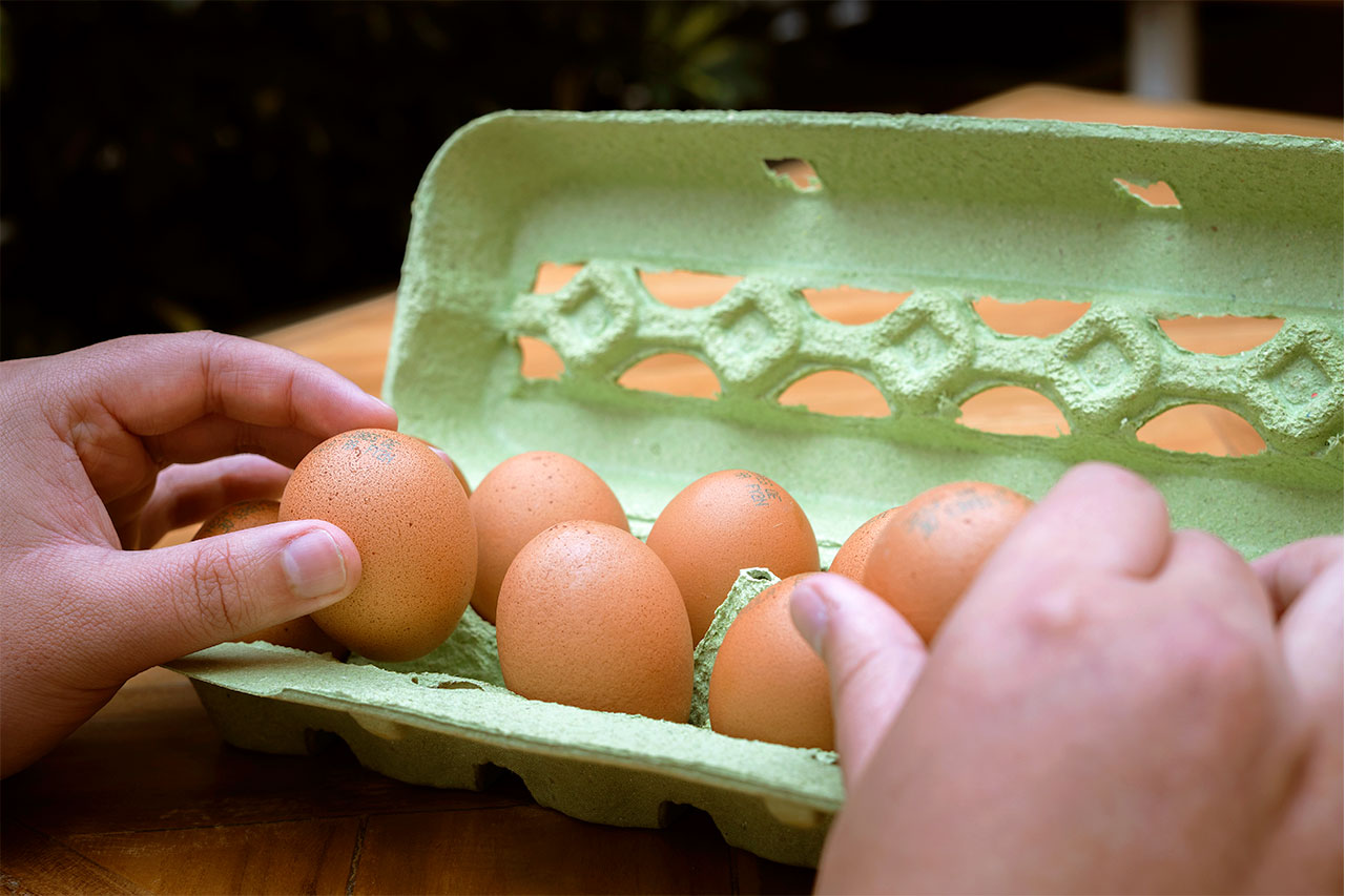Unas manos sacando un huevo marrón de un cartón ecológico de color verde