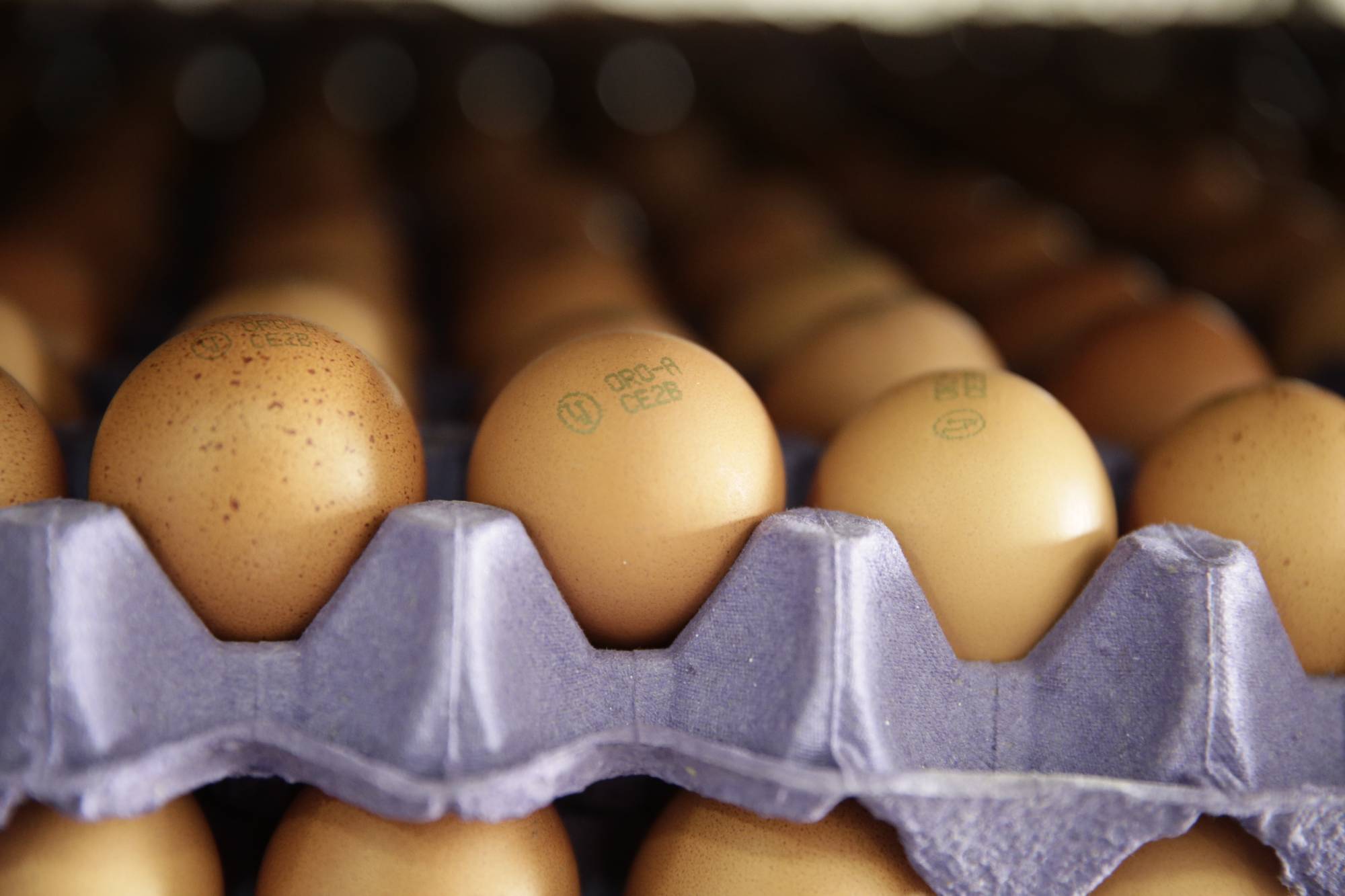 Unos huevos rojos después de la clasificación de huevos.