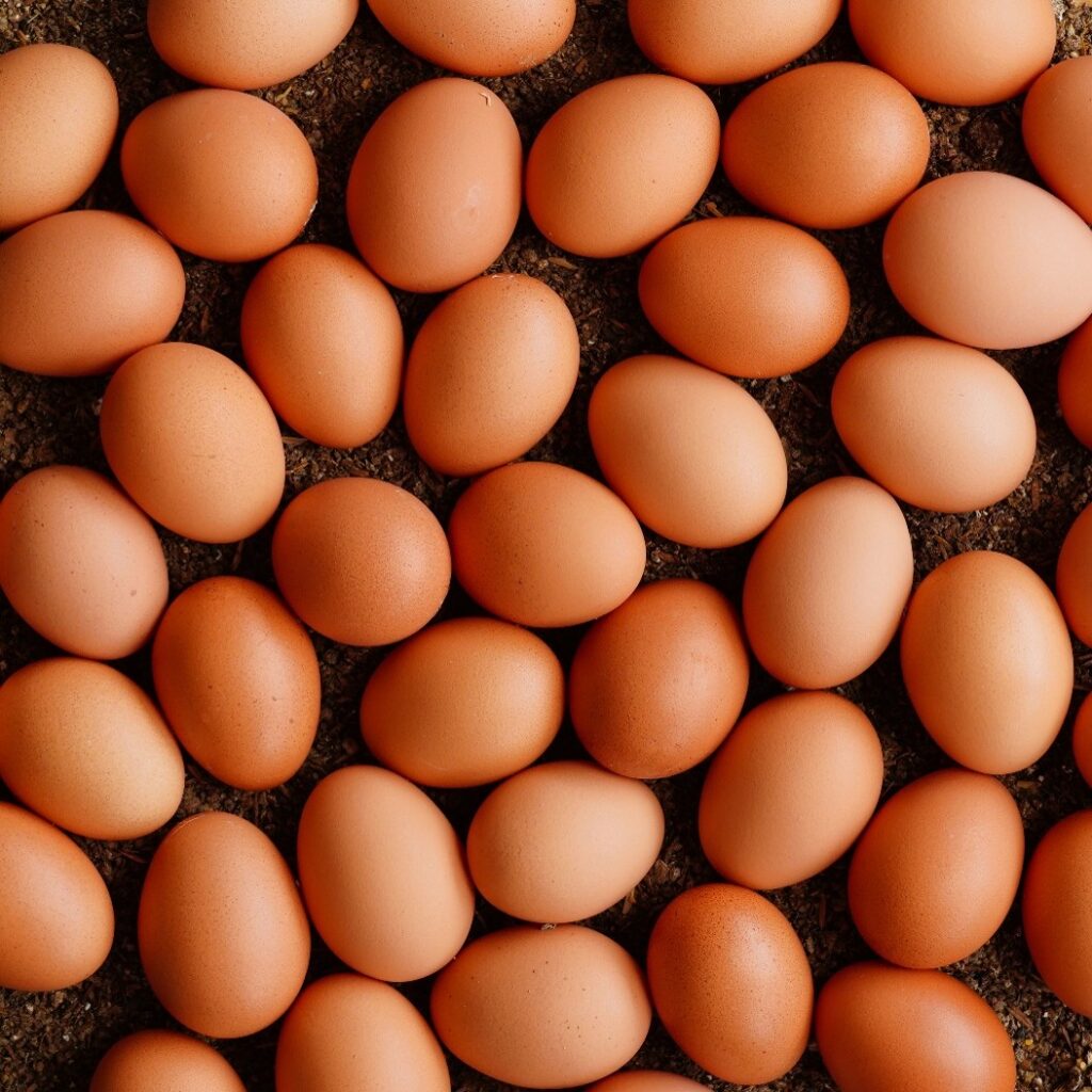  Huevos frescos cuya cáscara puede reutilizarse en el compostaje para aportar calcio y otros minerales al suelo.