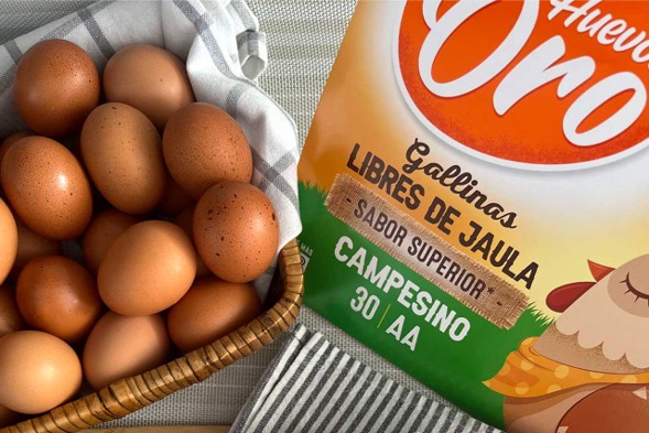 Huevos de gallinas libres de jaula junto al empaque Huevos Oro, producidos bajo estándares de bienestar animal y clasificados por su peso.