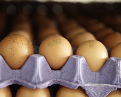 Unos huevos rojos después de la clasificación de huevos.