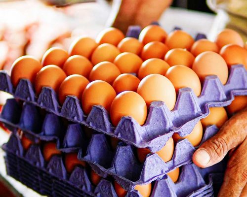 Cubetas de huevos de cartón con huevos